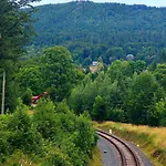 Jelonek