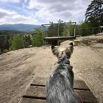 Jelonek Шклярська Поремба