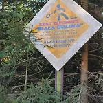 Jelonek