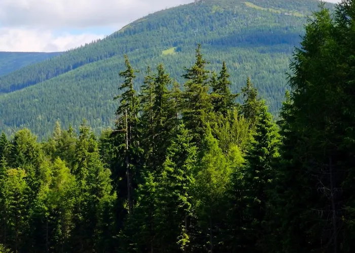 Apartment Jelonek Schreiberhau