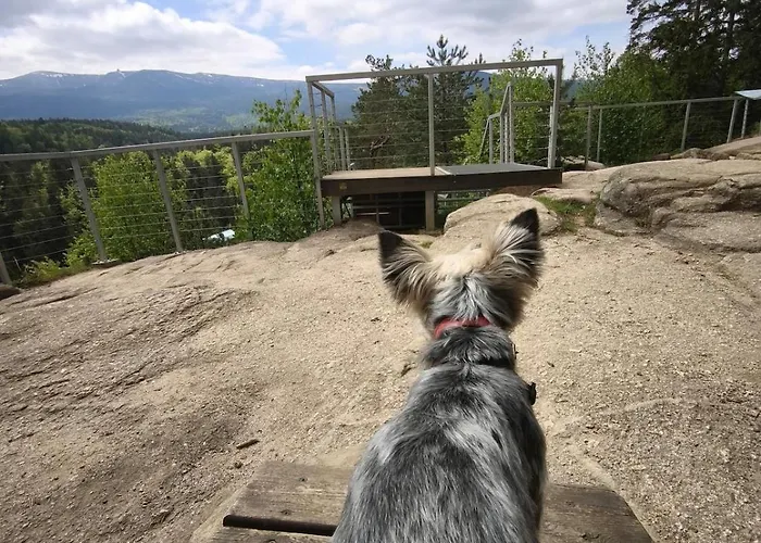 Jelonek Szklarska Poreba
